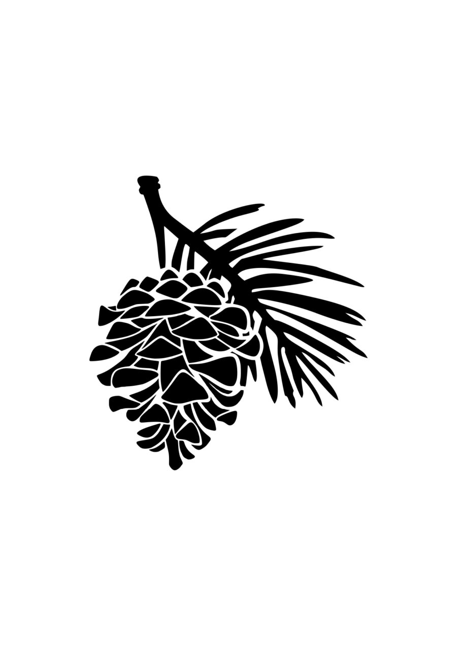 Pigna