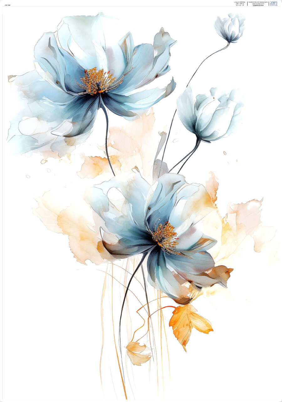 LP Bollorè Primavera in Blu