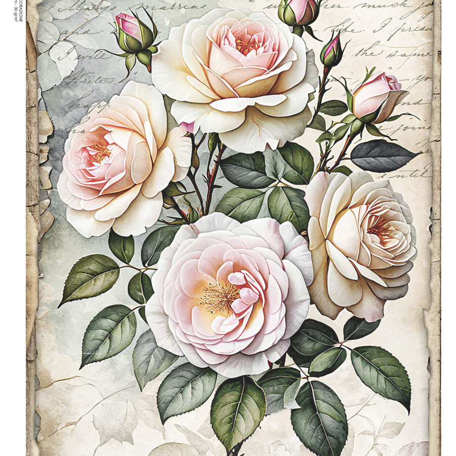 LP Bollorè Rose Shabby