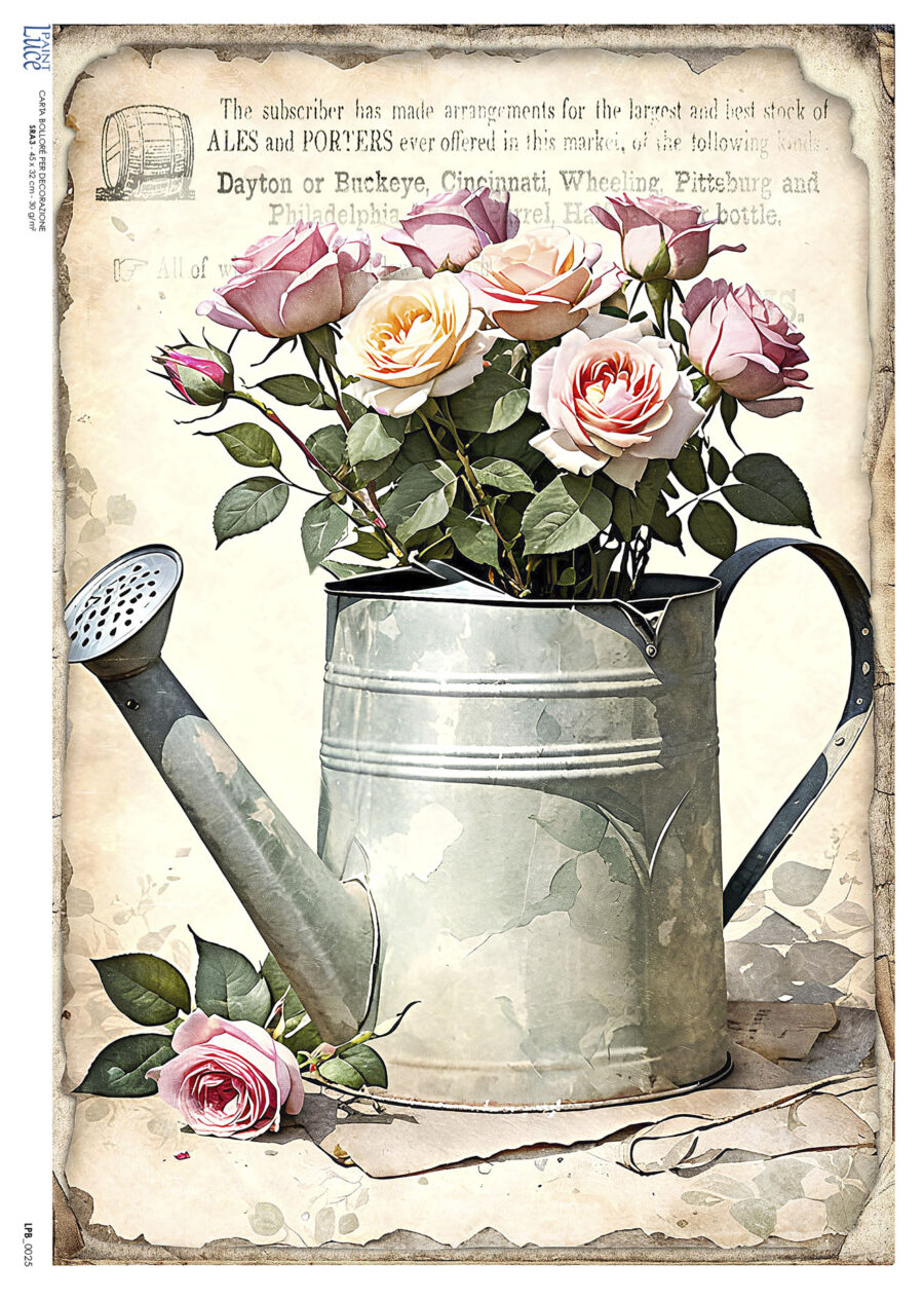 LP Bollorè Annaffiatoio