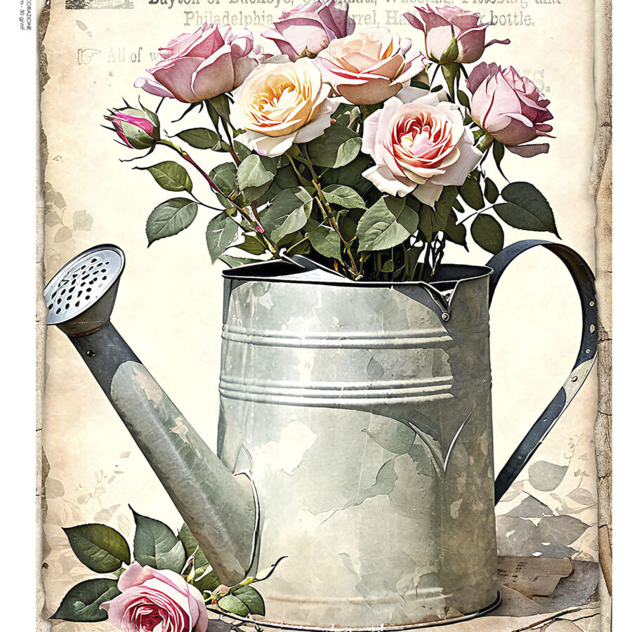 LP Bollorè Annaffiatoio