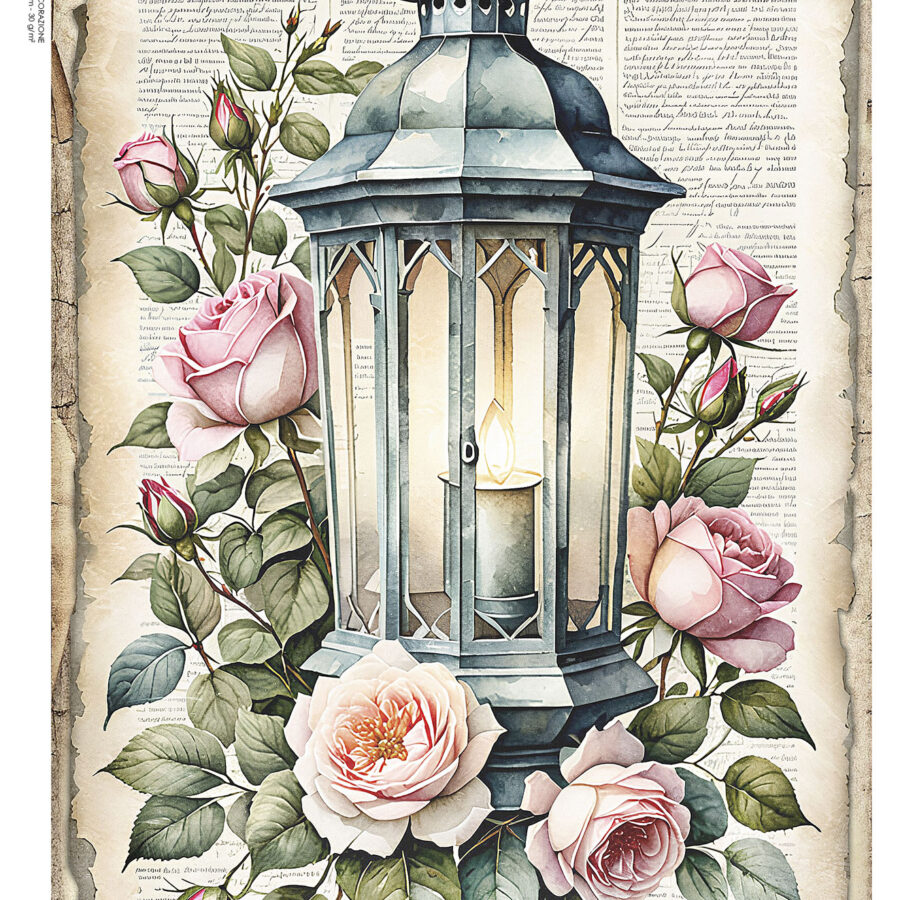 LP Bollorè Lanterna