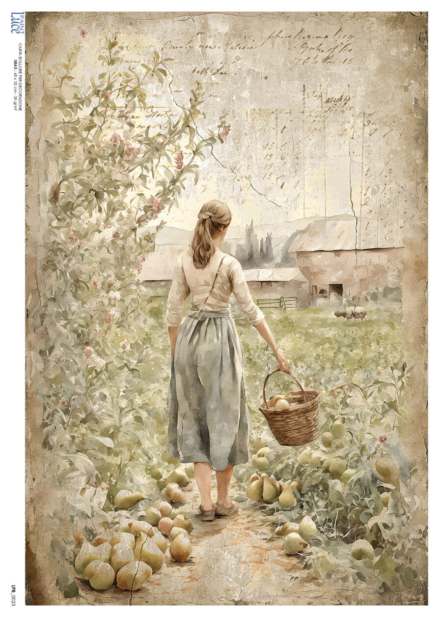 LP Bollorè Ragazza Country