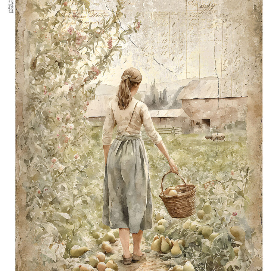 LP Bollorè Ragazza Country