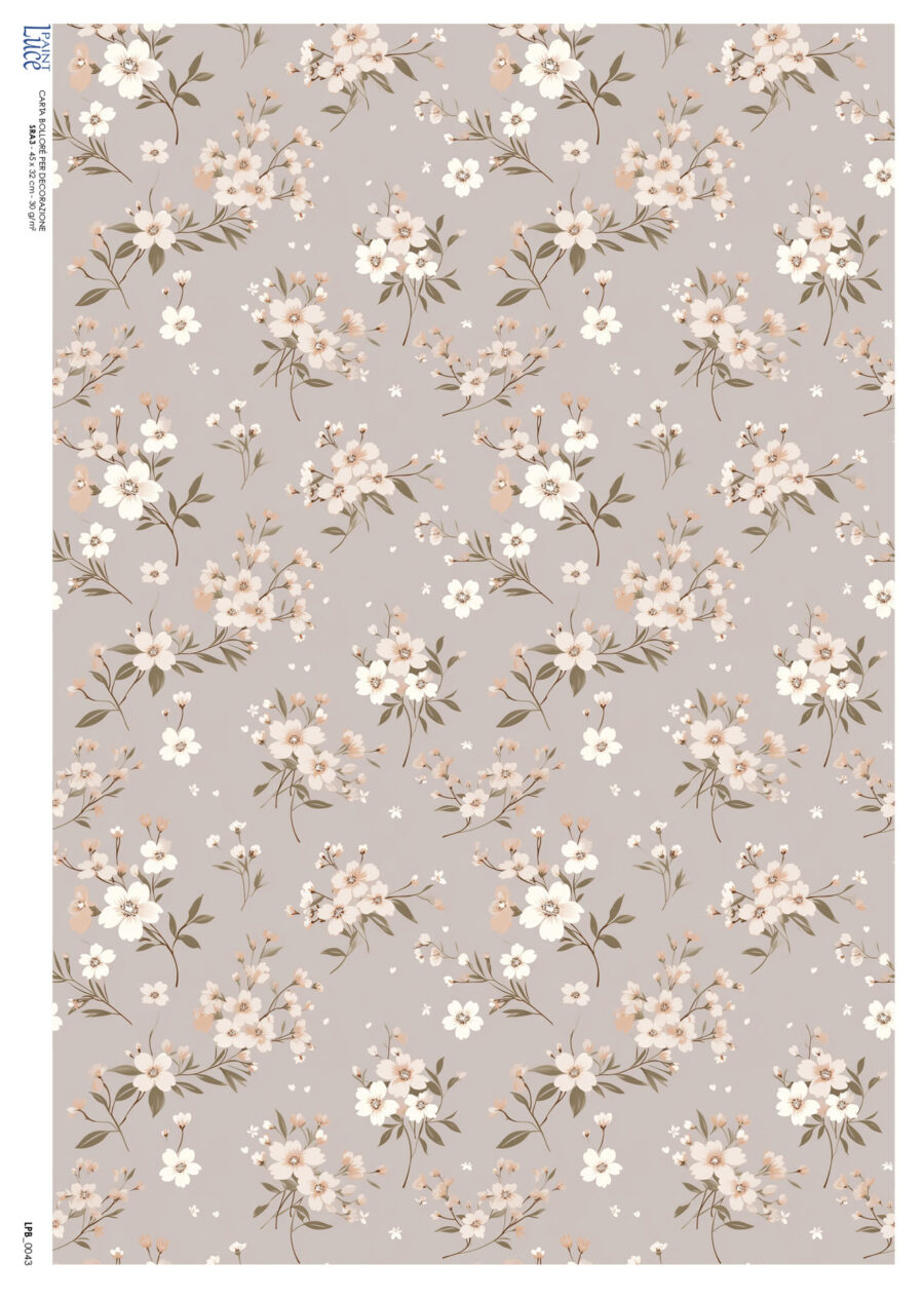 LP Bollorè Fiorellini Tortora