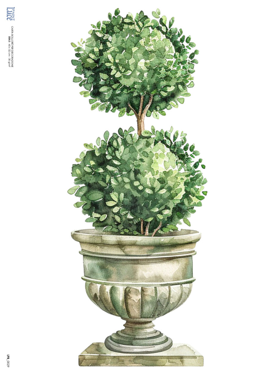 LP Bollorè Topiaria 3