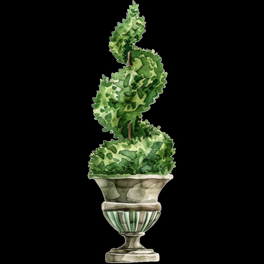 Carta A4  Alberelli 1