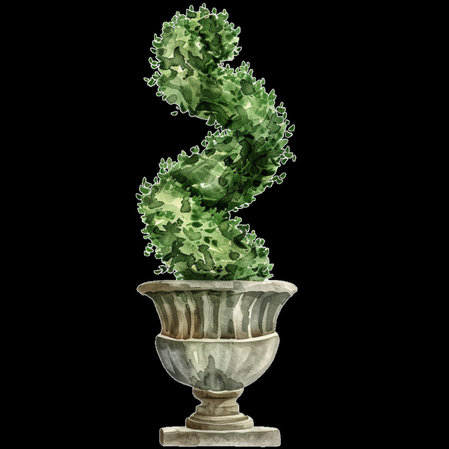 Carta A4  Alberelli 2