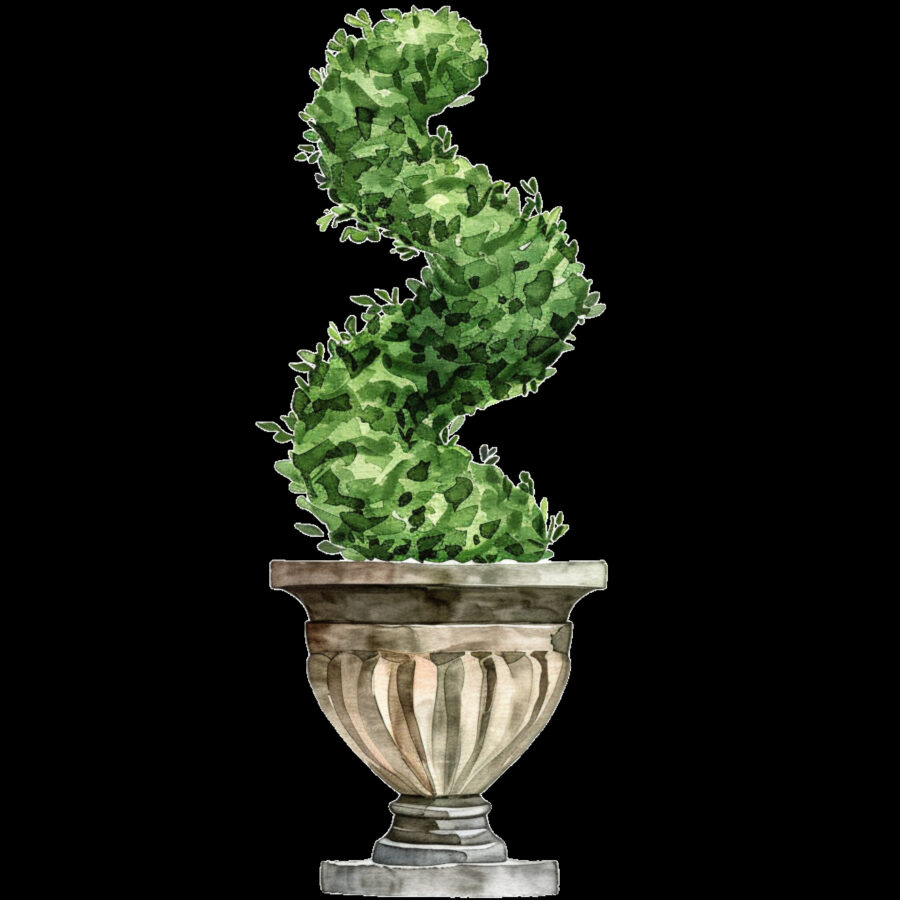 Carta A4  Alberelli 3