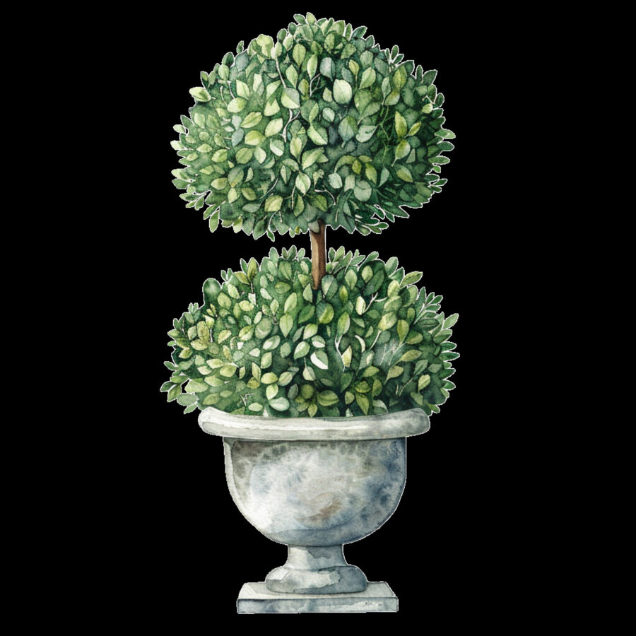 Carta A4  Alberelli 6