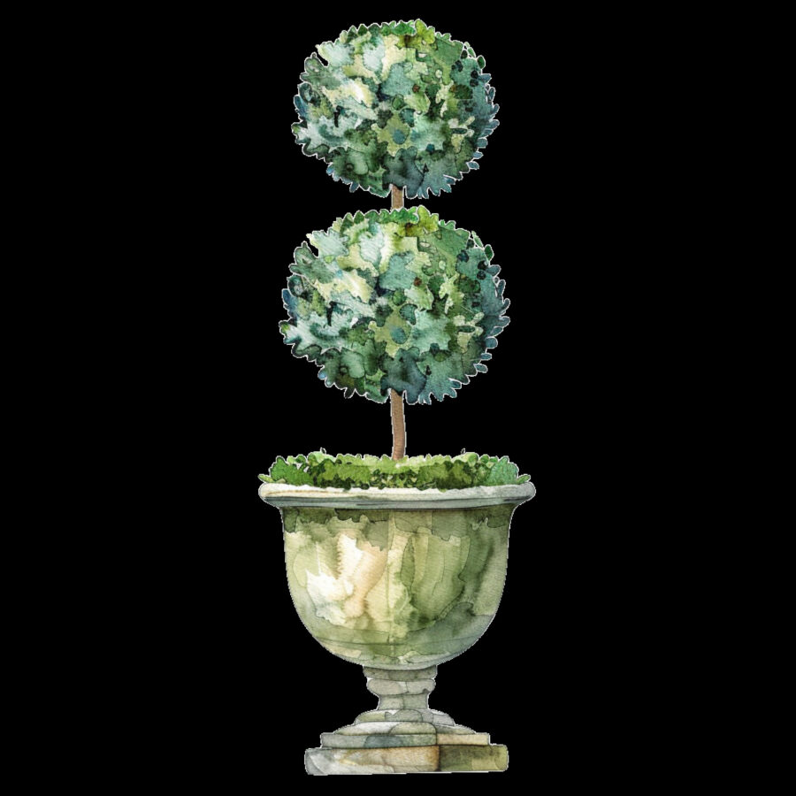 Carta A4  Alberelli 7