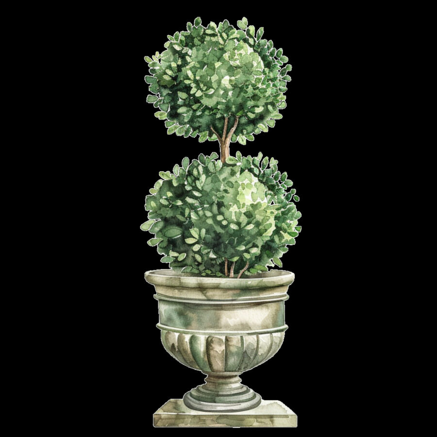 Carta A4  Alberelli 8