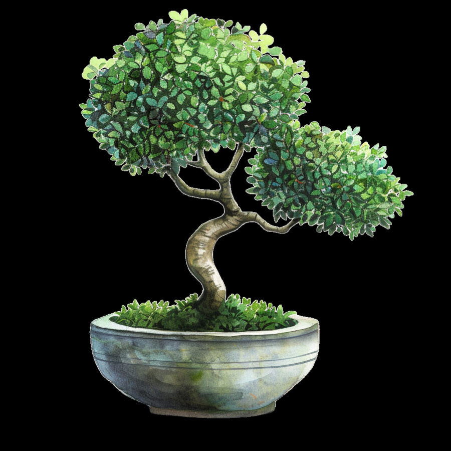 Carta A4  Alberelli 12