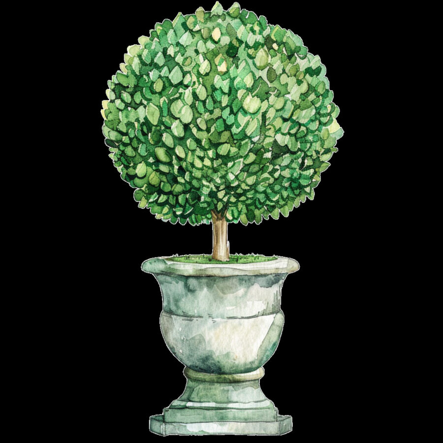 Carta A4  Alberelli 13