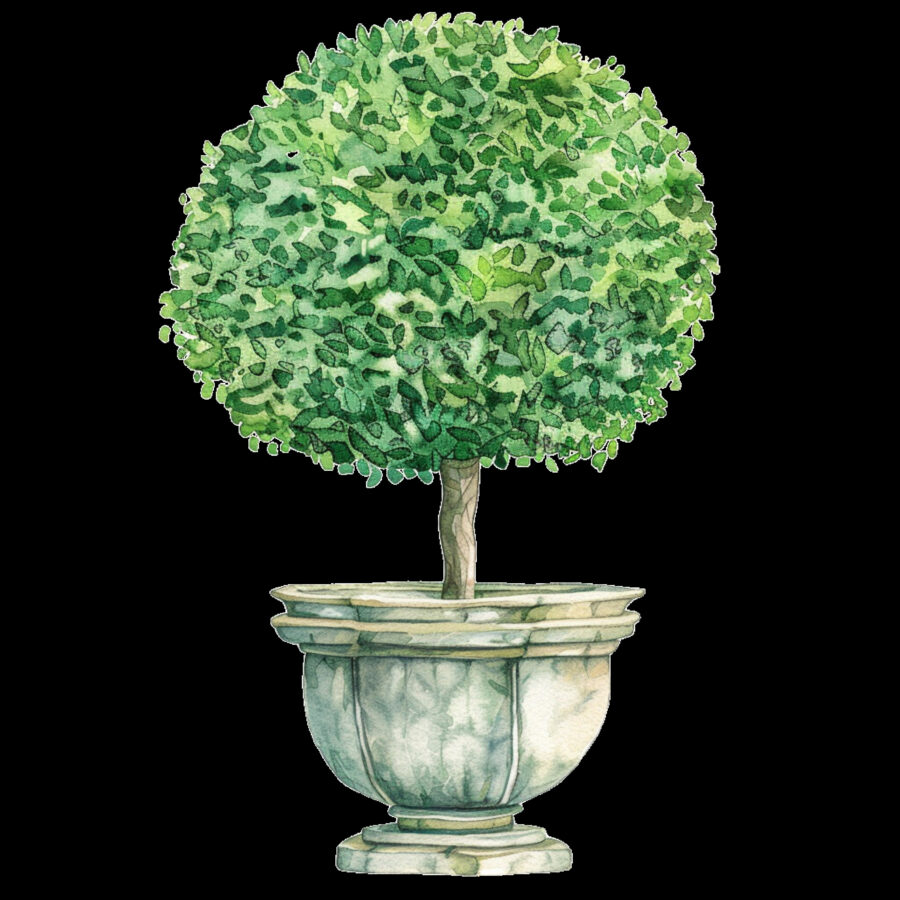 Carta A4  Alberelli 14