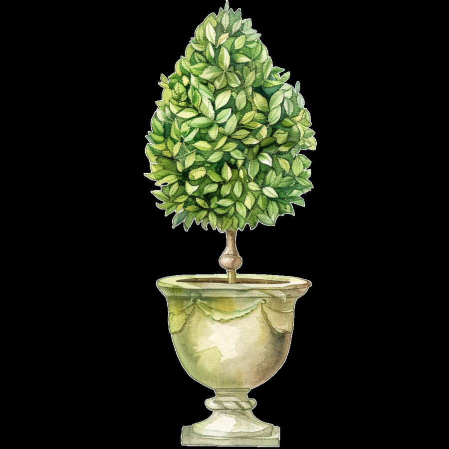 Carta A4  Alberelli 17