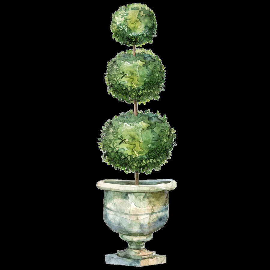 Carta A4  Alberelli 19