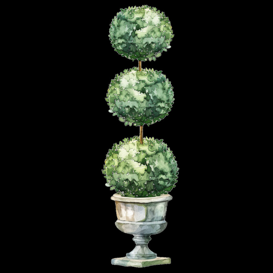 Carta A4  Alberelli 20