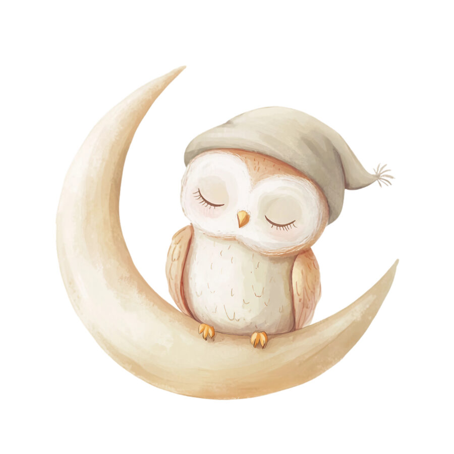 Carta A3 Baby Animal Toy 38