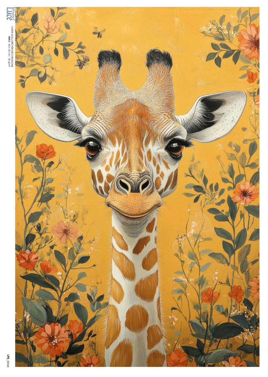LP Bollorè Giraffa